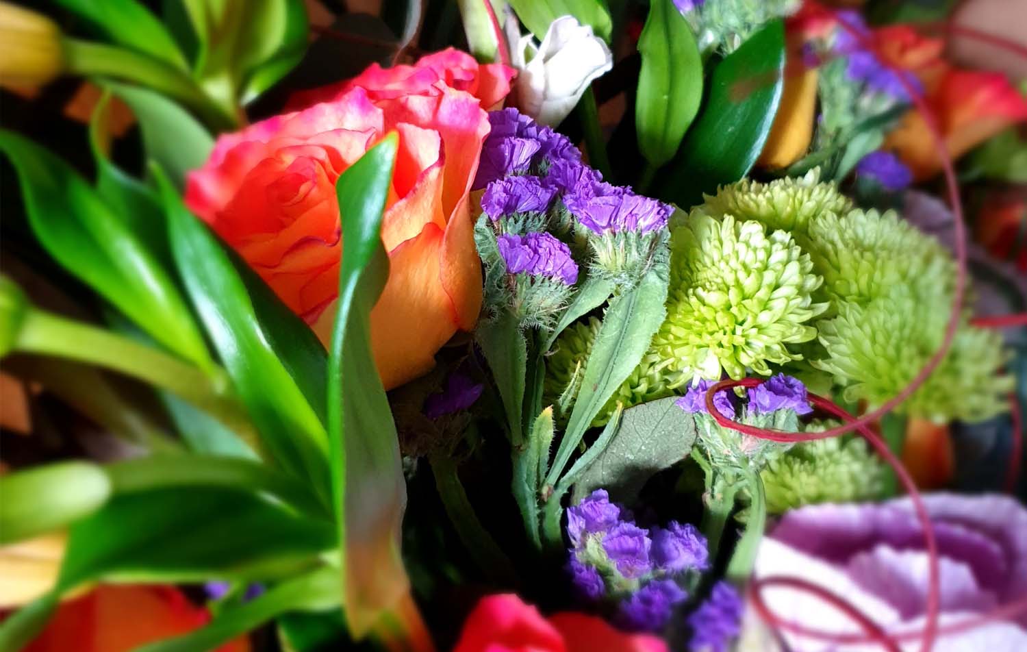 Contact us for last minute flowers in Nottingham